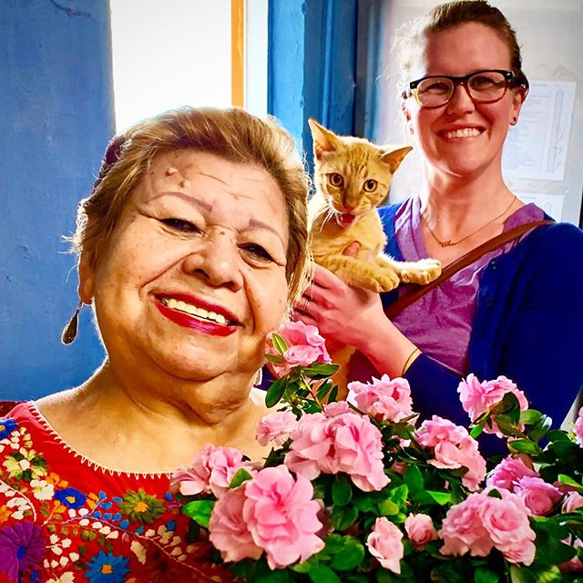 Feliz Dia de Las Madres 2019! From all the Señor Veggie mamas of every generation and species! Happy Mother’s Day from our Señor Veggie Family to yours❤️ See you in Southtown! #diadelasmadres #mothersday #catsofinstagram #vegana #vegan #vegansofinstagram #vegansofig #mamas #compassionovercruelty #catsrule